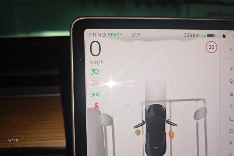 Tesla Model Y 2022 car image #13