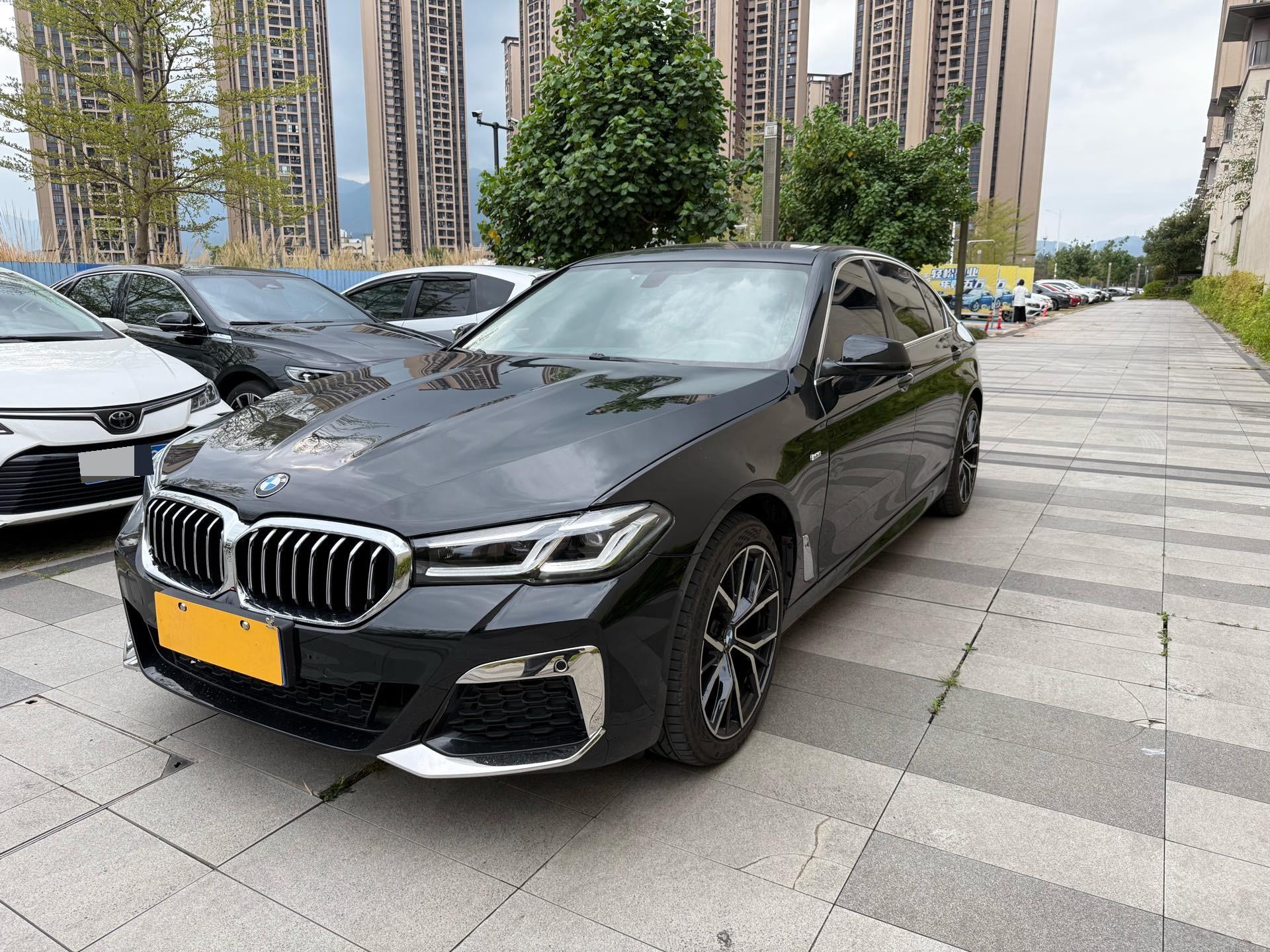 BMW 5 Series 2013 BMW 5 Series 2013 car image