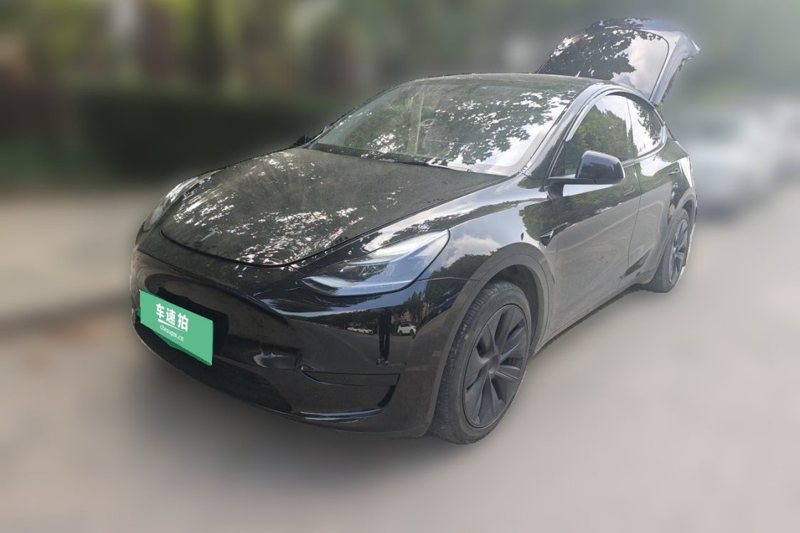 Tesla Model Y 2024 Tesla Model Y 2024 صورة سيارة