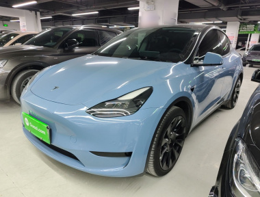 Tesla Model Y 2022 car image 