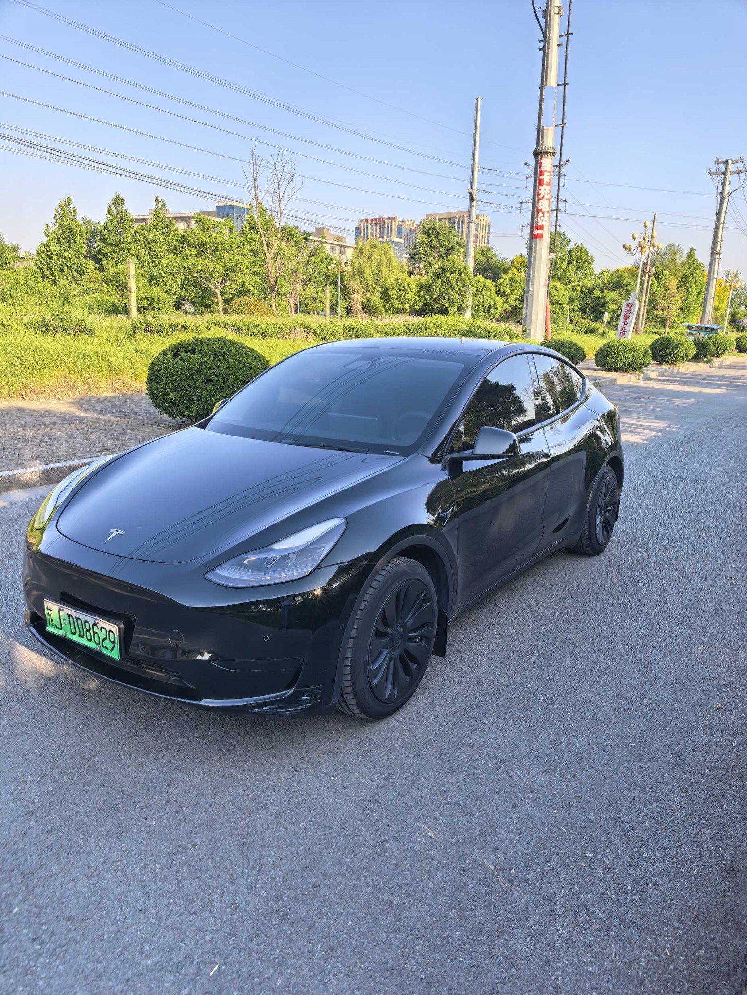 Tesla Model Y 2022 car image 