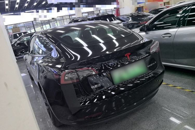 Tesla Model 3 2021 #5 Tesla Model 3 2021 car image #5