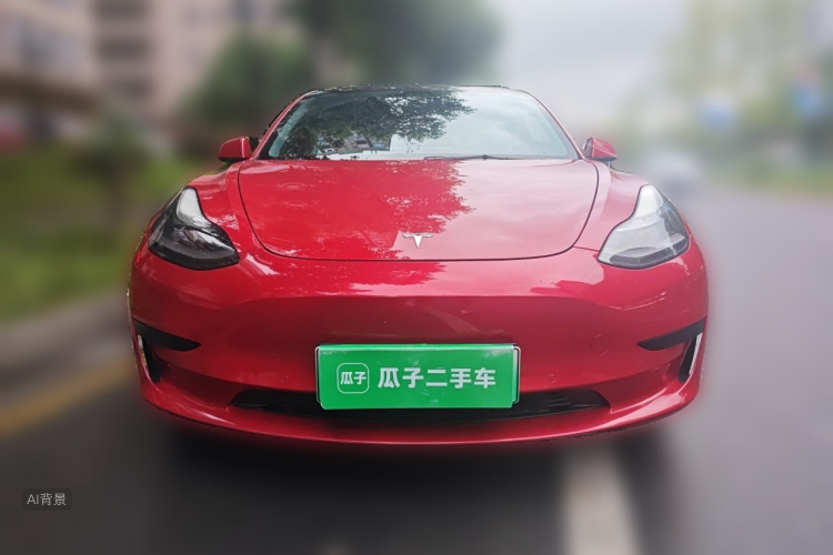 Tesla Model 3 2021 #3 Tesla Model 3 2021 car image #3