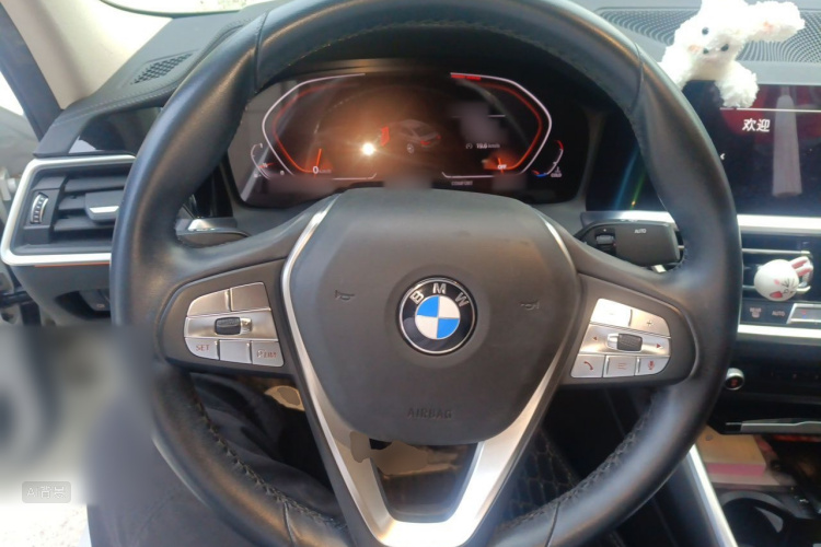 BMW 3 Series 2019 car image #12