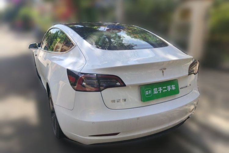 Tesla Model 3 2020 car image #5