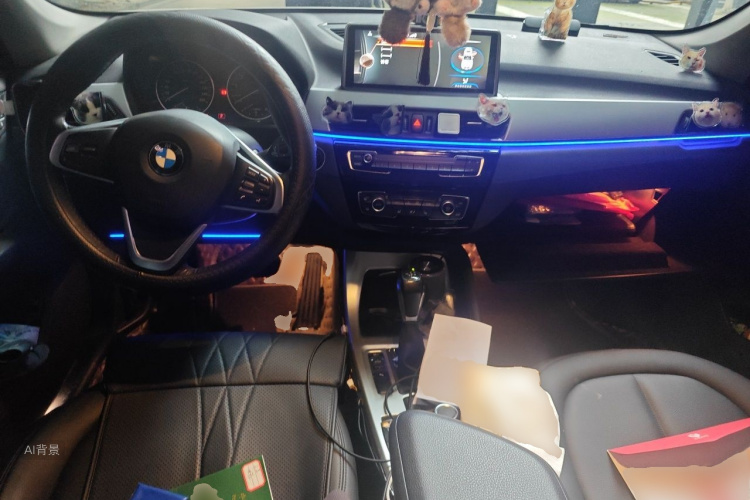 BMW X1 2016 #11 BMW X1 2016 car image #11