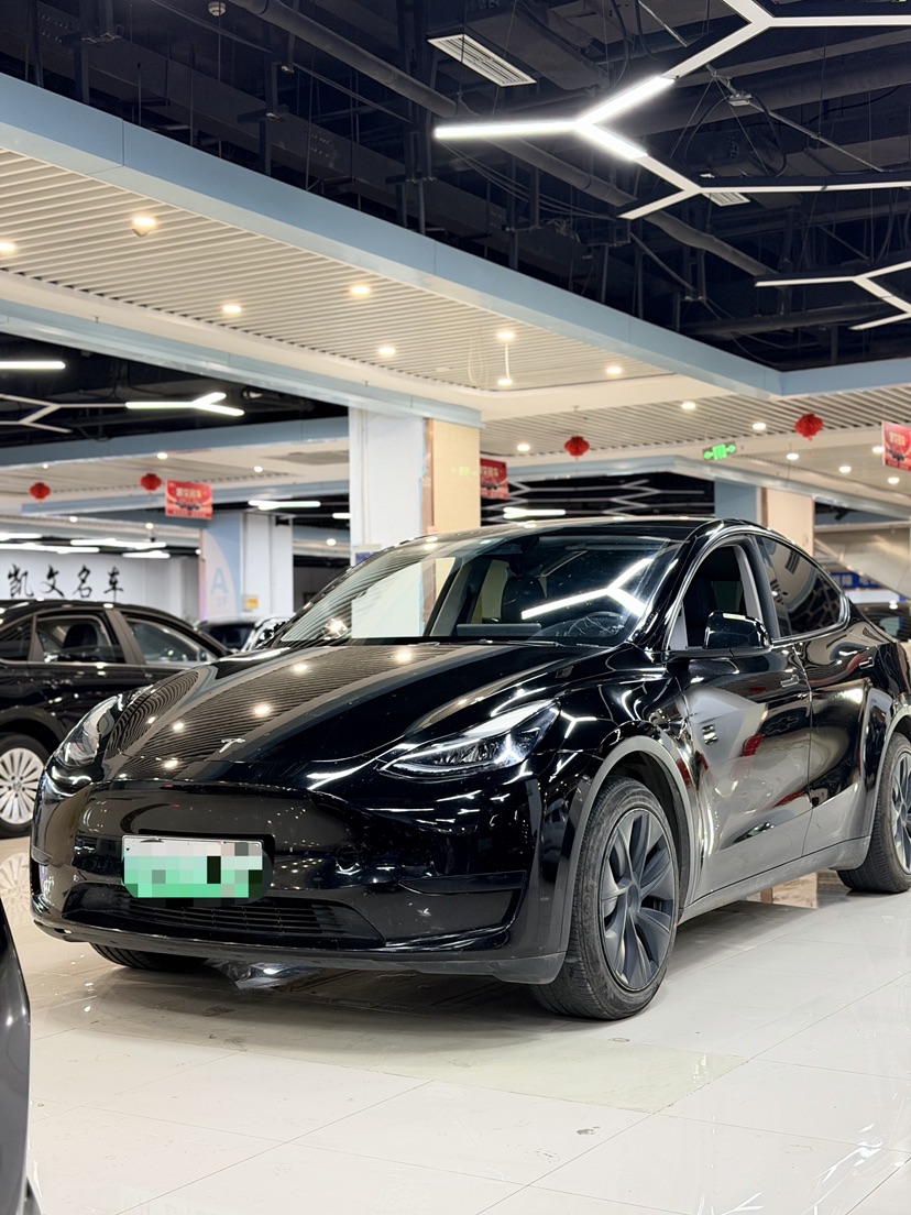 Tesla Model Y 2024 Tesla Model Y 2024 car image