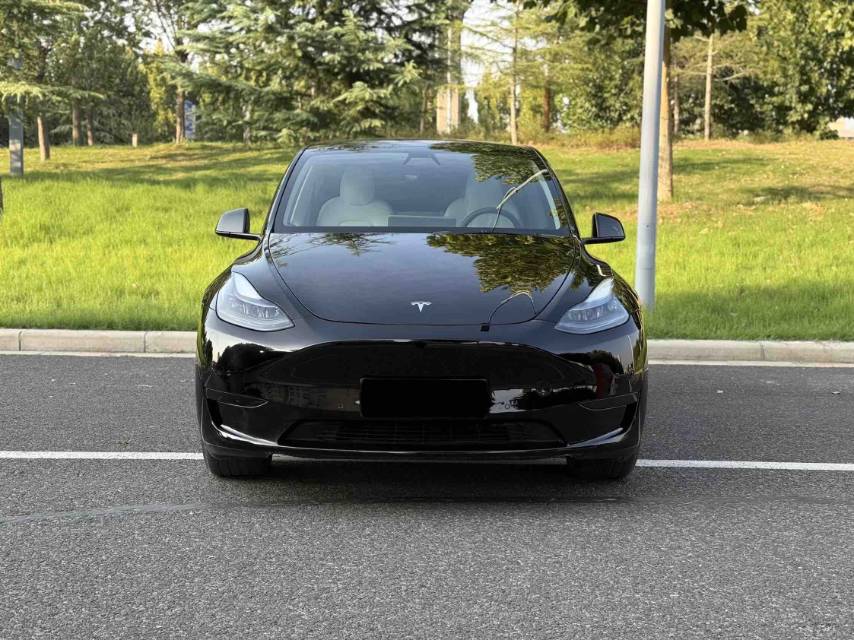 Tesla Model Y 2022 #2 Tesla Model Y 2022 صورة سيارة #2