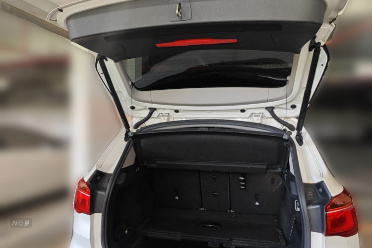 BMW X1 2018 car image #21