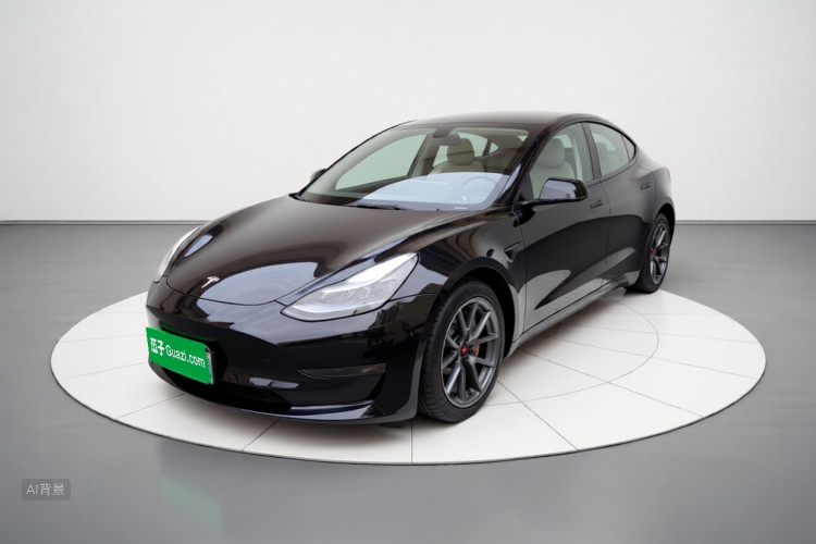 Tesla Model 3 2023 #2 Tesla Model 3 2023 car image #2
