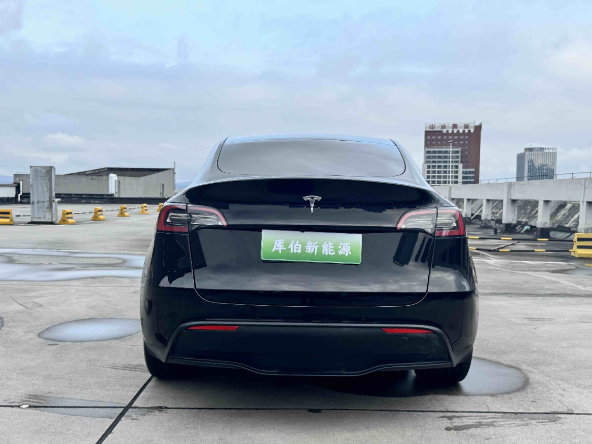 Tesla Model Y 2021 #6 Tesla Model Y 2021 car image #6