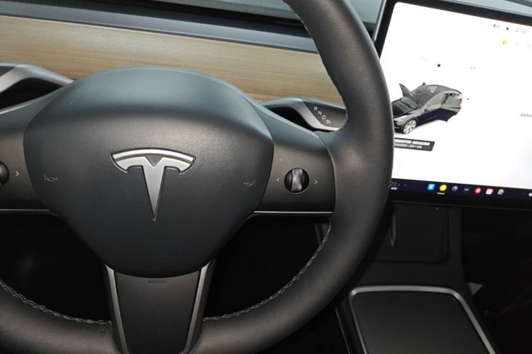 Tesla Model Y 2021 #14 Tesla Model Y 2021 car image #14