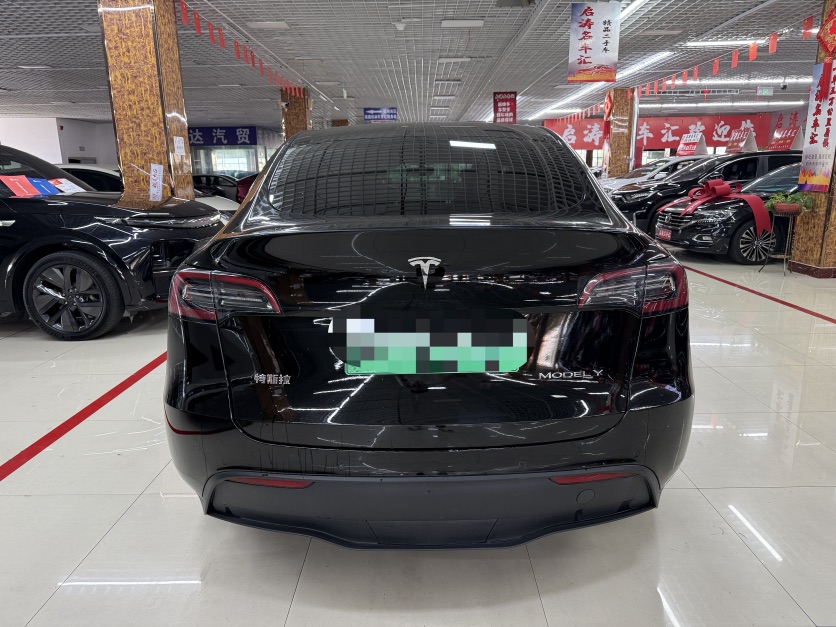 Tesla Model Y 2023 car image #5