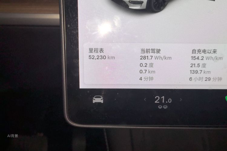 Tesla Model Y 2021 car image #14