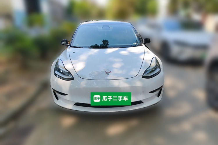Tesla Model 3 2020 #3 Tesla Model 3 2020 car image #3