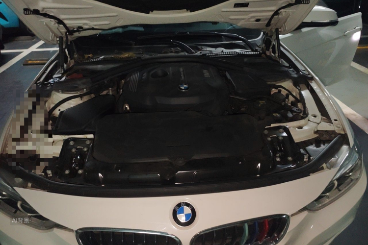 BMW 3 Series 2017 car image #22