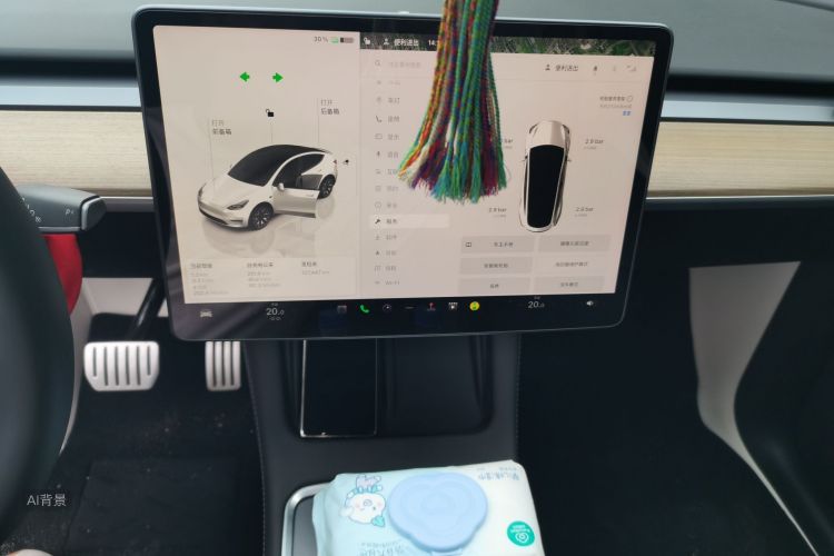 Tesla Model Y 2022 car image #15