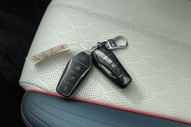 BYD Yuan Plus 2023 car image #14