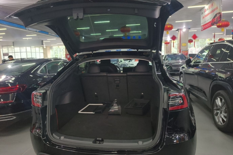 Tesla Model Y 2021 immagine di auto #19
