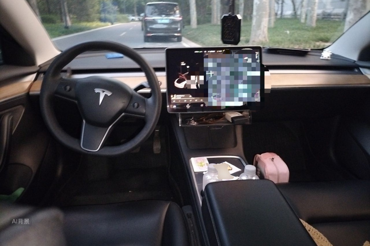 Tesla Model 3 2021 #11 Tesla Model 3 2021 car image #11