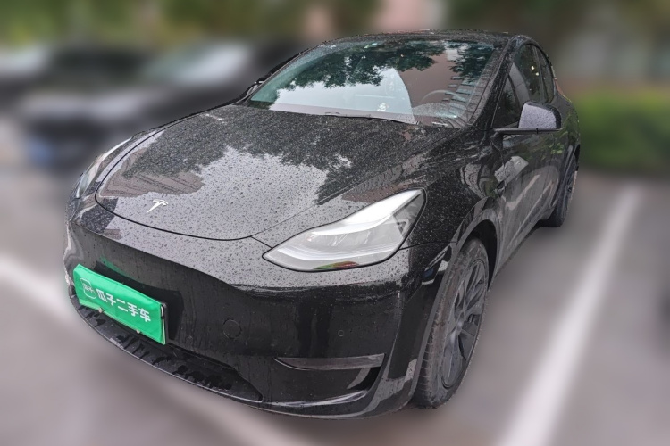 Tesla Model Y 2024 car image #2