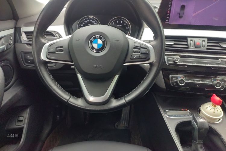 BMW X1 2019 car image #12