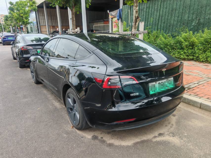 Tesla Model 3 2021 imagem de carro #6