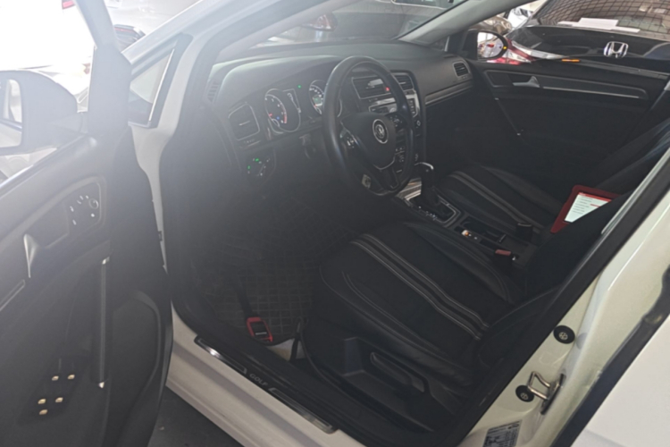 Volkswagen Golf 2018 car image #16