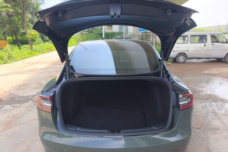 Tesla Model 3 2021 car image #19