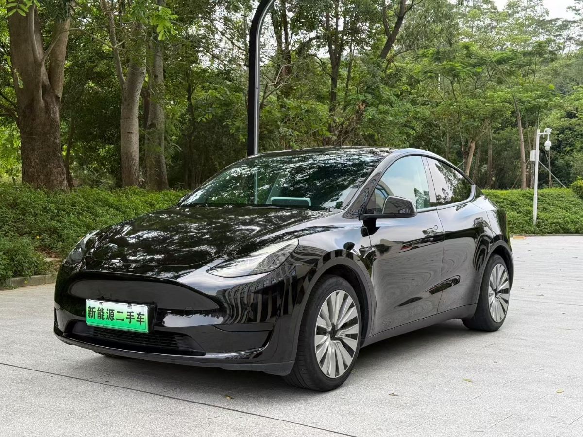 Tesla Model Y 2022 car image 