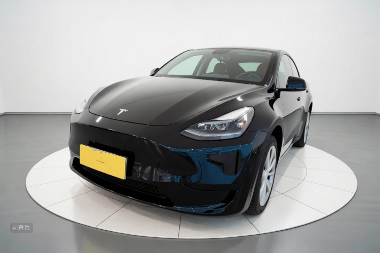 Tesla Model Y 2023 #2 Tesla Model Y 2023 car image #2