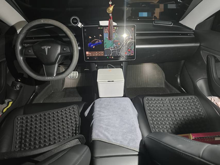 Tesla Model 3 (Imported) 2019 #6 Tesla Model 3 (Imported) 2019 imagem de carro #6