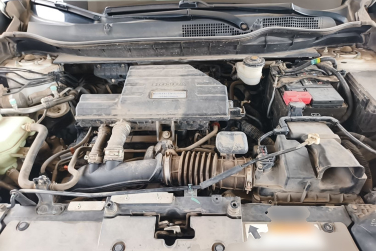 Honda CR-V 2019 #20 Honda CR-V 2019 immagine di auto #20
