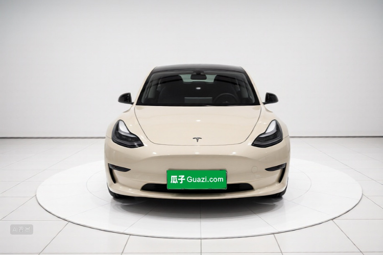 Tesla Model 3 2022 #3 Tesla Model 3 2022 car image #3