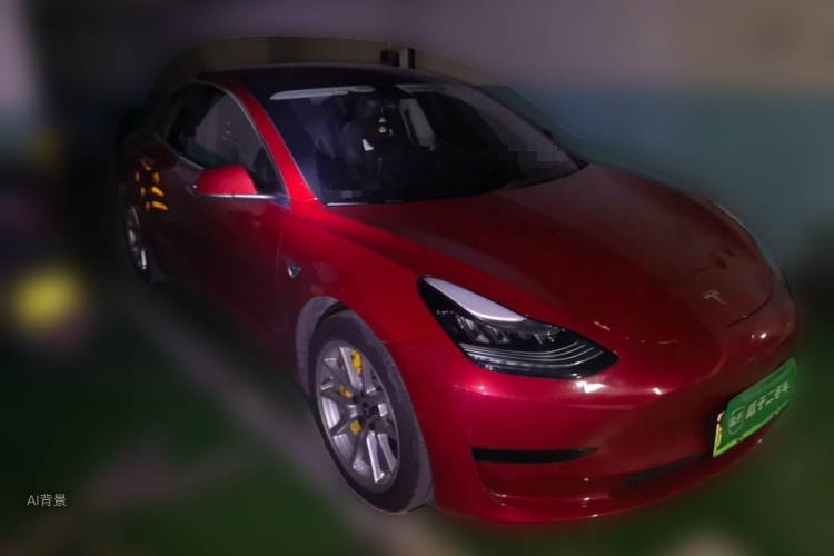 Tesla Model 3 2020 car image #4