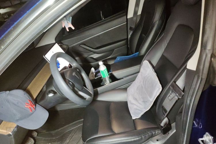 Tesla Model 3 2020 car image #17