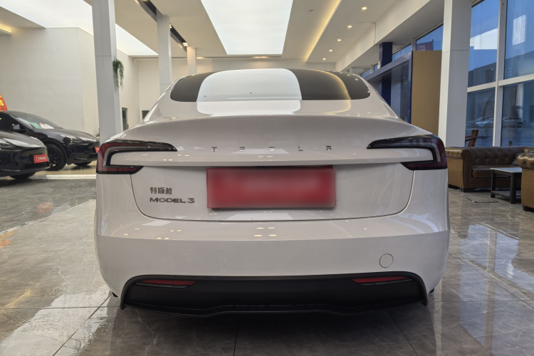Tesla Model 3 2024 immagine di auto #5