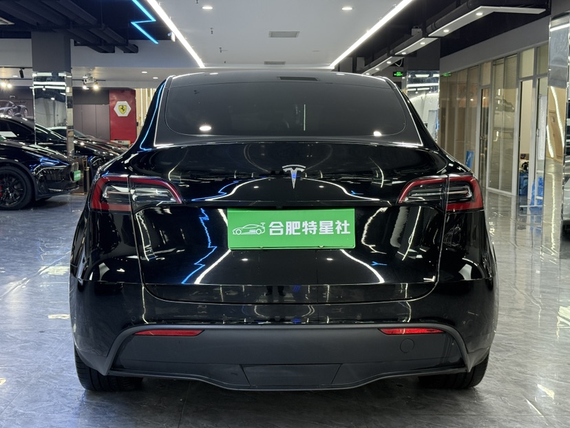 Tesla Model Y 2022 car image #7