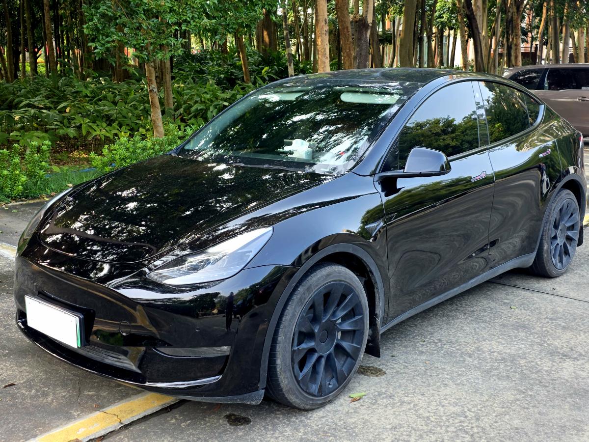 Tesla Model Y 2021 Tesla Model Y 2021 car image