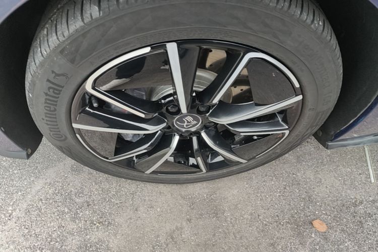 BYD Han 2021 #9 BYD Han 2021 immagine di auto #9