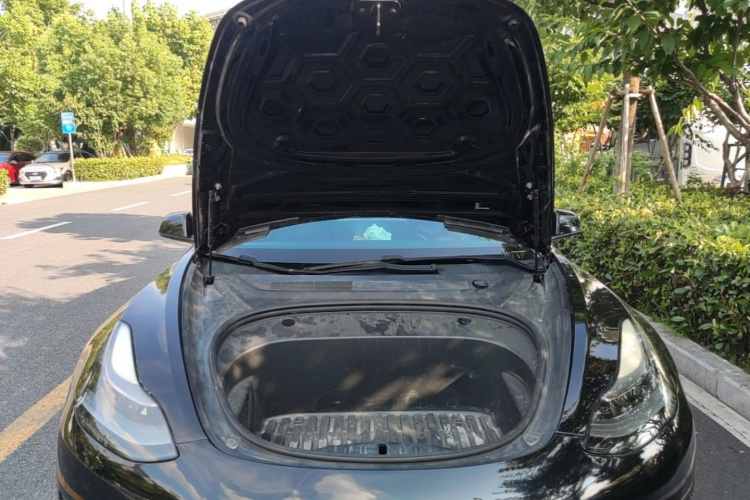 Tesla Model 3 2021 #20 Tesla Model 3 2021 car image #20