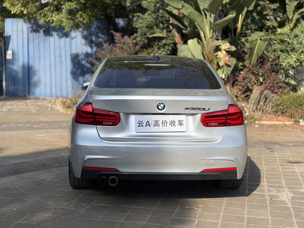 BMW 3 Series 2018 car image #5
