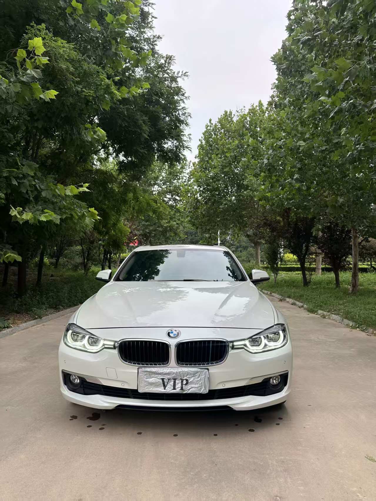 BMW 3 Series 2017 #4 BMW 3 Series 2017 car image #4