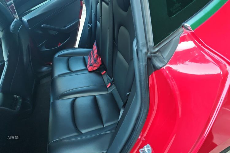 Tesla Model 3 2020 #19 Tesla Model 3 2020 car image #19