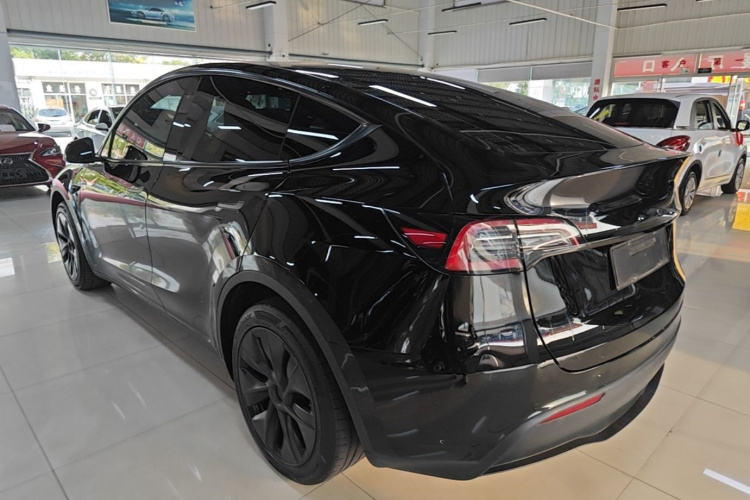 Tesla Model Y 2023 #5 Tesla Model Y 2023 car image #5