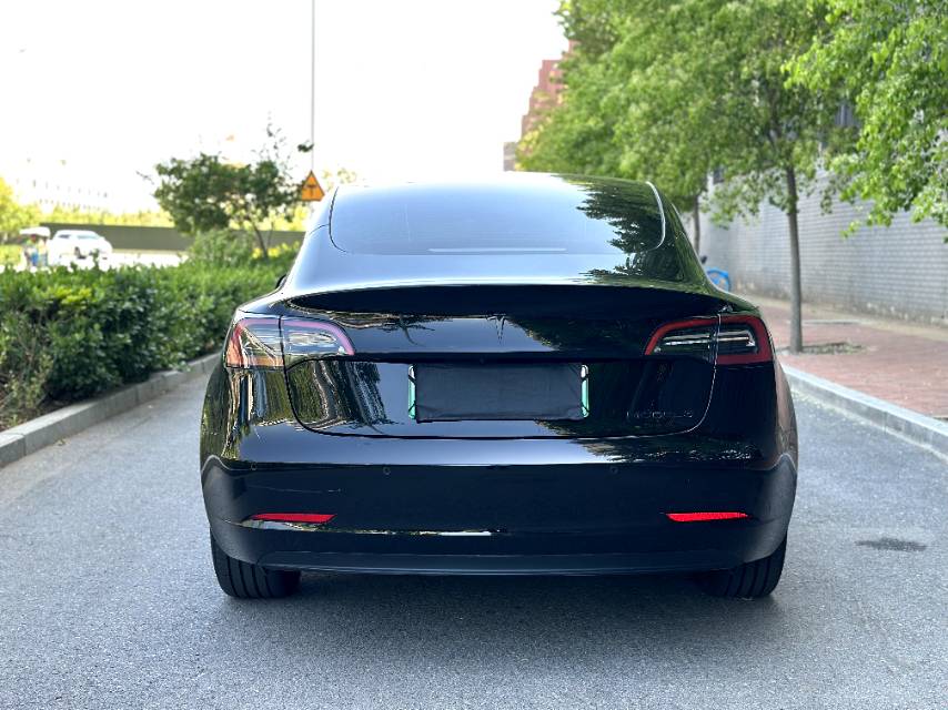Tesla Model 3 2023 #8 Tesla Model 3 2023 car image #8
