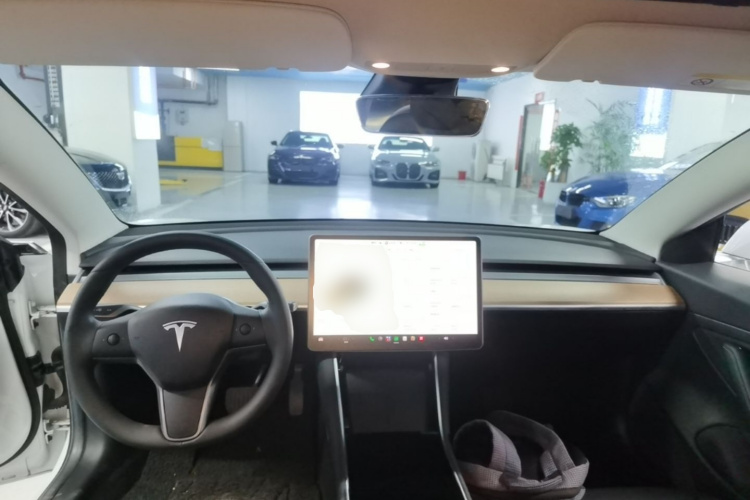 Tesla Model 3 2020 car image #10