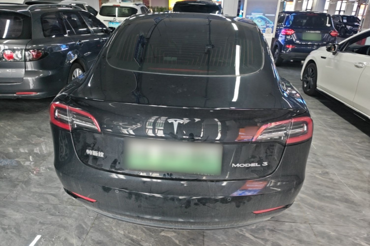 Tesla Model 3 2020 car image #6