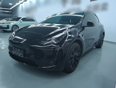 Tesla Model Y 2023 Tesla Model Y 2023 immagine di auto