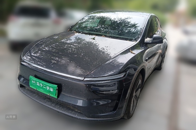Tesla Model Y 2025 car image #2
